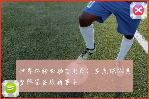 世界杯转会动态更新:多支球队调整阵容备战新赛季