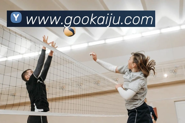 买球官方平台生态图