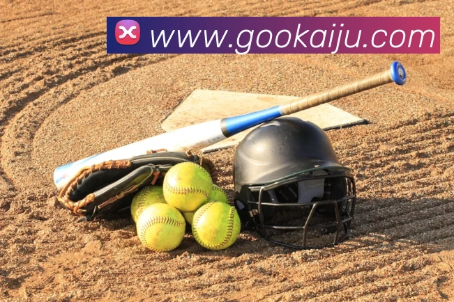 买球官方APP 封面图